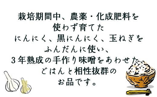 南国農家 ごはんによくあう！黒にんにくみそ2個入り ng-0008