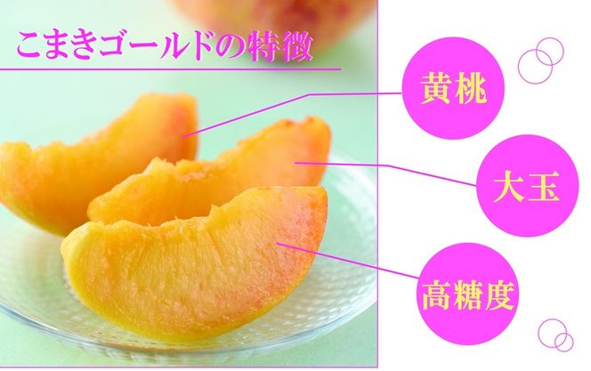 こまきゴールド（期間限定・数量限定）［011O02］