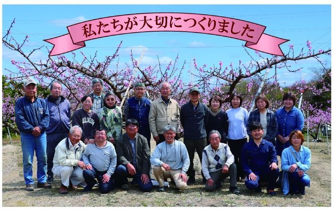 こまきゴールド（期間限定・数量限定）［011O02］