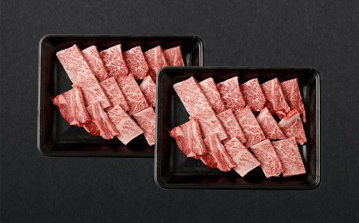 ＜霜降り 焼肉 300g×2＞翌月末迄に順次出荷【c1178_ya】