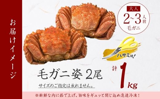 2987. 毛蟹 2尾 計1kg前後 食べ方ガイド・専用ハサミ付 カニ かに 蟹 海鮮 ボイル 送料無料 北海道 弟子屈町（北海道弟子屈町） |  ふるさと納税サイト「ふるさとプレミアム」