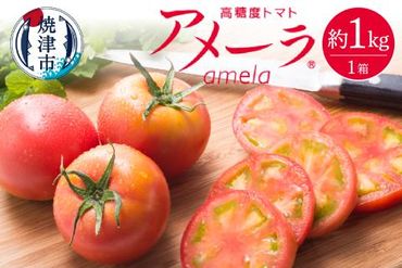 a10-371　アメーラ トマト 高糖度 トマト 産地 直送 化粧箱入