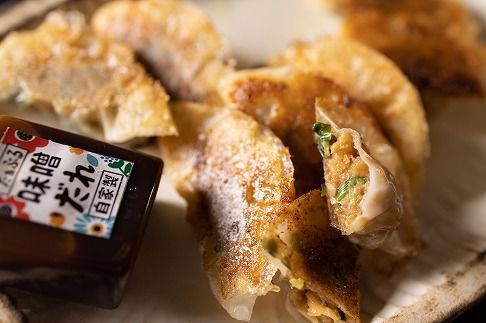 【定期便全3回】3ヶ月に1回お届け 居酒屋のおかあちゃん手作り ひと口味噌ぎょうざ 120個（30個×4袋） H136-041