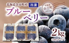 冷凍ブルーベリー 250g×4パック×2箱 北海道産　甘くてジューシー 余市産 ブルーベリー 250g × 4パック × 2箱 合計 2kg 冷凍 北海道産 国産 高い栄養価 抗酸化作用 高血圧予防 