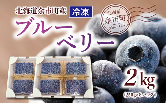 冷凍ブルーベリー 250g×4パック×2箱 北海道産　甘くてジューシー 余市産 ブルーベリー 250g × 4パック × 2箱 合計 2kg 冷凍 北海道産 国産 高い栄養価 抗酸化作用 高血圧予防 