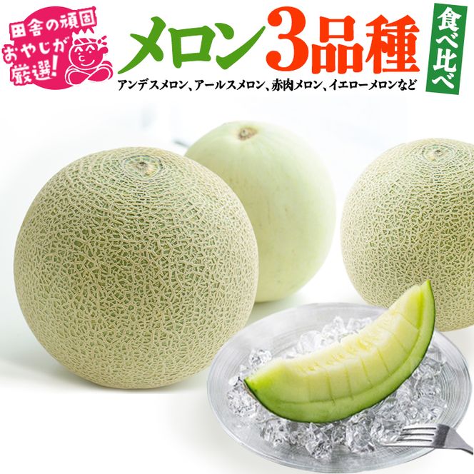 メロン 食べ比べ セット【7月発送開始】田舎の頑固おやじが厳選！  [BI83-NT]