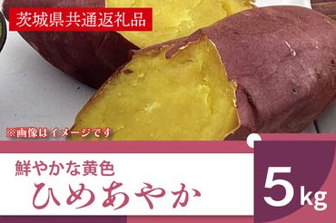 AK007【11月発送開始】　鮮やかな黄色のさつまいも ひめあやか5kg（茨城県共通返礼品・行方市産）