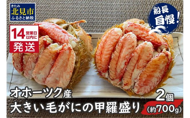 ykCkszs14cƓȓɔtIz[cNY 傫тɂ̍b 2 Ⓚ ( т  Jj I b  kC )y114-0042z