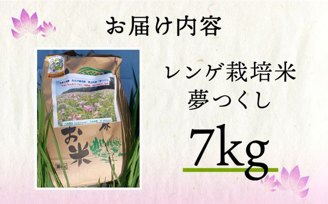 【令和4年産】レンゲ 栽培米 夢つくし 7kg《築上町》【久楽農園】[ABAT002]