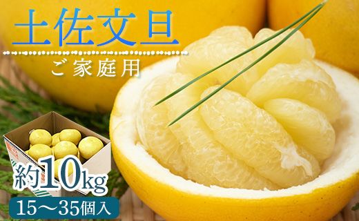 訳あり 土佐文旦 家庭用 約10kg 数量限定 期間限定 季節限定 『2026年1月下旬より順次配送』 ku-0047