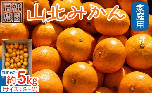 みかん 5kg 山北みかん 家庭用 露地(Ｓ～Ｍ) 高橋農園 - 小傷あり 送料無料 露地栽培 柑橘 果物 フルーツ ミカン 蜜柑 期間限定 季節限定 家庭用 国産 特産品 高橋農園 高知県 香南市 th-0015