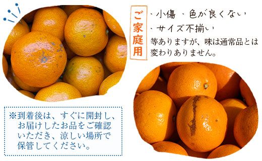 みかん 5kg 山北みかん 家庭用 露地(Ｓ～Ｍ) 高橋農園 - 小傷あり 送料無料 露地栽培 柑橘 果物 フルーツ ミカン 蜜柑 期間限定 季節限定 家庭用 国産 特産品 高橋農園 高知県 香南市 th-0015