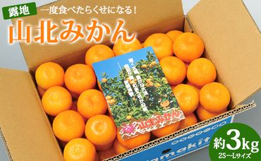 一度食べたらくせになる!高知県産 山北みかん 約3kg(露地栽培 2S〜Lサイズ) ku-0019