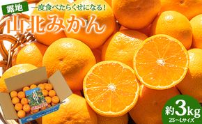 【ブランドみかん】山北みかん 3kg 一度食べたらくせになる！ 高知県産 山北みかん 約3kg(露地栽培 2S～Lサイズ） ku-0019