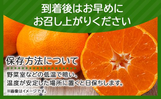 一度食べたらくせになる！高知県産 山北みかん 約3kg(露地栽培 2S～Lサイズ） ku-0019