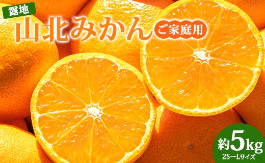 山北みかん 5kg(家庭用・露地) - 果物 フルーツ 温州みかん ミカン 柑橘 おいしい 甘い 送料無料 高知県 香南市 常温 ku-0022