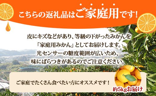 山北みかん 5kg(家庭用・露地) - 果物 フルーツ 温州みかん ミカン 柑橘 おいしい 甘い 送料無料 高知県 香南市 常温 ku-0022