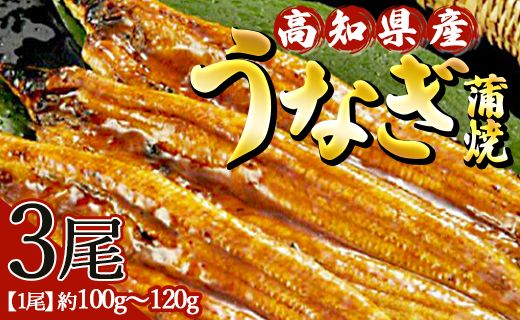 高知県産養殖うなぎ蒲焼 100～120g 3尾セット ss-0025