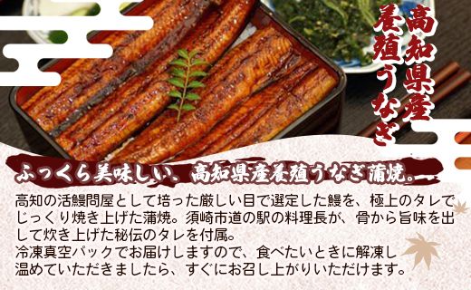 高知県産養殖うなぎ蒲焼き 3尾(合計約660g) - タレ付き たれ 丑の日 鰻 ウナギ かばやき 蒲焼き うな丼 うな重 送料無料 ギフト お中元 御中元 父の日 お礼 御礼 感謝 贈答 贈り物 須崎市道の駅 高知県 香南市 ss-0035