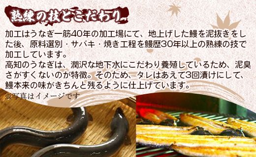 高知県産養殖うなぎ蒲焼 5尾(合計500g以上) - タレ付き たれ 土用の丑の日 鰻 ウナギ かばやき 蒲焼き うな丼 うな重 ギフト お中元 御中元 父の日 お礼 御礼 感謝 プレゼント 送料無料 須崎市道の駅 高知県 香南市 ss-0040