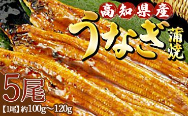 高知県産養殖うなぎ蒲焼 5尾(合計500g以上) - タレ付き たれ 土用の丑の日 鰻 ウナギ かばやき 蒲焼き うな丼 うな重 ギフト お中元 御中元 父の日 お礼 御礼 感謝 プレゼント 送料無料 須崎市道の駅 高知県 香南市 ss-0040