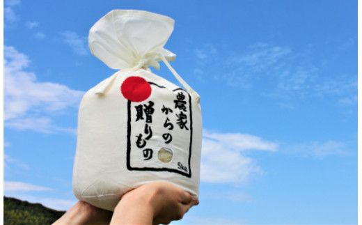 【全6回定期便】【令和6年産予約受付】 ひかりファーム の 夢つくし 10kg【2024年10月以降順次発送】《築上町》【ひかりファーム】 [ABAV020]