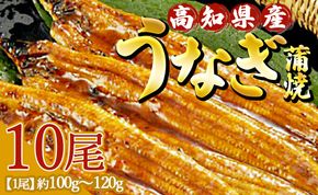 高知県産養殖うなぎ蒲焼 10尾(合計1000g以上) - 鰻 ウナギ 国産 蒲焼き かば焼き かばやき うな丼 うな重 ギフト お中元 御中元 父の日 お礼 御礼 感謝 贈答 贈り物 土用の丑の日 高知県 香南市 ss-0041