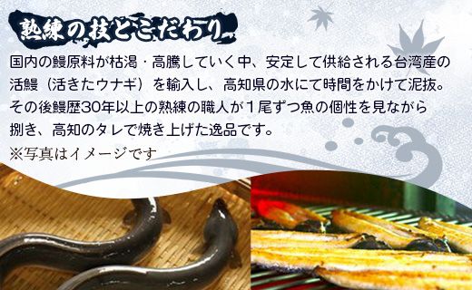 台湾産養殖うなぎ蒲焼 2尾(合計約400g) - タレ付き たれ 蒲焼き かばやき 鰻 ウナギ 肉厚 ふっくら 香ばしい スタミナ 肴 夕飯 ギフト お中元 御中元 お礼 御礼 感謝 贈答 贈り物 丑の日 高知県 香南市 ss-0033