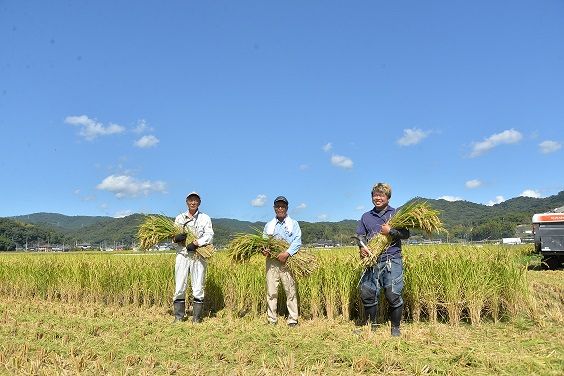 令和6年産＜無洗米＞総社市産きぬむすめ　20kg24-035-032