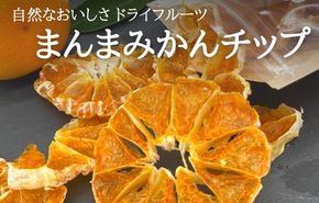 ドライフルーツ みかんチップ 100g ( 20g × 5袋 ) 和歌山県産 果物使用 自社製造 【みかんの会】 AX151