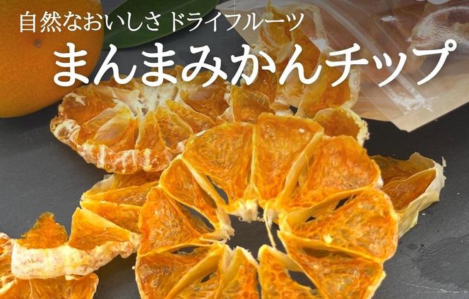 ドライフルーツ みかんチップ 400g ( 20g × 20袋 ) 和歌山県産 果物使用 自社製造 【みかんの会】 AX153