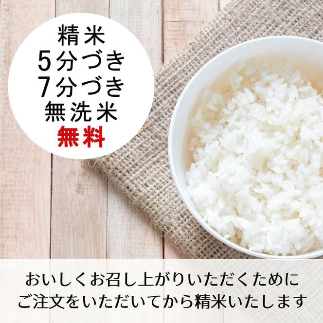 【定期便】米 令和5年産 京都 丹波産 こしひかり 玄米 5kg×6回 計30kg｜5つ星お米マイスター 厳選 受注精米可 隔月発送も可  ※離島への配送不可