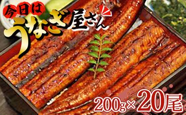 肉厚ふっくら香ばしい 台湾産養殖うなぎ蒲焼 200g 20尾セット ss-0031