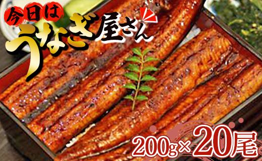 肉厚ふっくら香ばしい 台湾産養殖うなぎ蒲焼 200g 20尾セット ss-0031