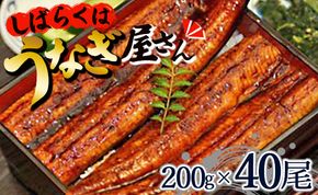 肉厚ふっくら香ばしい 台湾産養殖うなぎ蒲焼 200g 40尾セット ss-0032