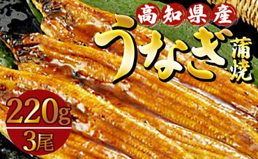 高知県産養殖うなぎ蒲焼き 3尾(合計約660g) - タレ付き たれ 丑の日 鰻 ウナギ かばやき 蒲焼き うな丼 うな重 送料無料 ギフト お中元 御中元 父の日 お礼 御礼 感謝 贈答 贈り物 須崎市道の駅 高知県 香南市 ss-0035