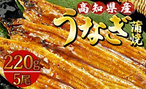 高知県産養殖うなぎ蒲焼 5尾(合計約1100g) - タレ付き たれ 丑の日 鰻 ウナギ かばやき うな丼 うな重 送料無料 須崎市道の駅 ギフト 贈答 贈り物 高知県 香南市 冷凍 ss-0036