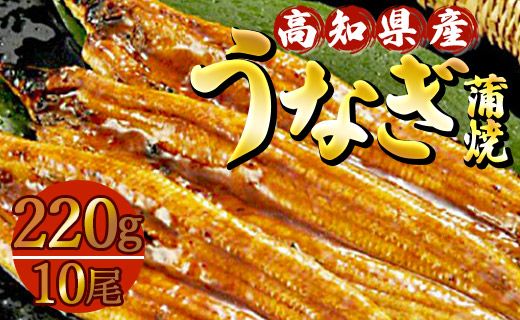 うなぎ蒲焼 10尾(合計約2200g) 高知県産養殖 土用の丑の日 鰻 ウナギ 蒲焼き かば焼き かばやき うな丼 うな重 須崎市道の駅 高知県 香南市 ss-0037