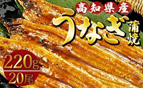 うなぎ 蒲焼き 国産 鰻 20尾(合計約4400g)  人気 冷凍 養殖 高知県産  ウナギ かばやき 惣菜 お手軽 加工品 加工食品 魚介類 ss-0038