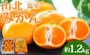 山北温室みかん1.2kg 秀品 果物 柑橘 ミカン 蜜柑 フルーツ ku-0021