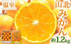 山北温室みかん1.2kg 秀品 果物 柑橘 ミカン 蜜柑 フルーツ ku-0021