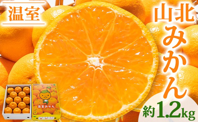 山北温室みかん1.2kg 秀品 果物 柑橘 ミカン 蜜柑 フルーツ ku-0021