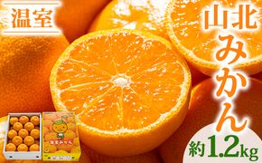 【2026年発送分】山北温室みかん1.2kg 秀品 果物 柑橘 ミカン 蜜柑 フルーツ ku-0050