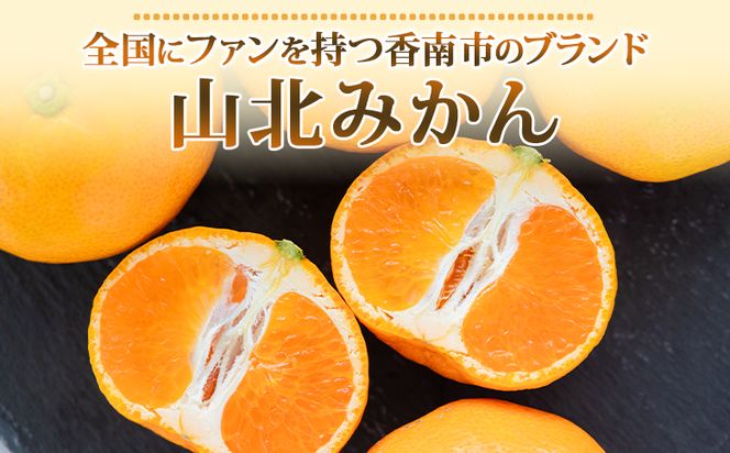 山北温室みかん1.2kg 秀品 果物 柑橘 ミカン 蜜柑 フルーツ ku-0021