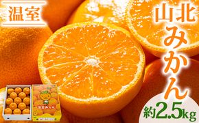 みかん 【2026年発送分】みかん 2.5ｋｇ 秀品 山北温室みかん2.5kg ハウスみかん 果物 柑橘類 蜜柑 糖度高め フルーツ ku-0051