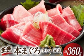 昭福丸の天然本まぐろ (中トロ･赤身) 各180g 計360g [臼福本店 宮城県 気仙沼市 20563782] 魚 鮮魚 刺身 トロ 天然本マグロ マグロ まぐろ 鮪 本まぐろ 本マグロ 本鮪 冷凍 