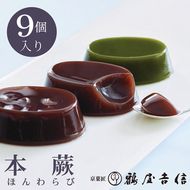 夏限定 本蕨 9個入 こしあん／小倉／抹茶 3種類＜京菓匠 鶴屋吉信＞｜本わらび わらび餅 わらびもち 和菓子 お菓子 ギフト お中元 デザート ※2026年4月中旬頃より順次発送