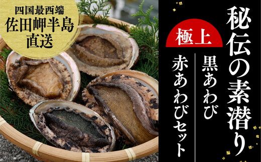 【数量限定】佐田岬海士の黒赤あわび 【4/15～10/25の漁解禁日に合わせて発送】 ※北海道・東北地方・沖縄・離島への配送不可 ※2024年4月下旬～11月上旬頃に順次発送予定