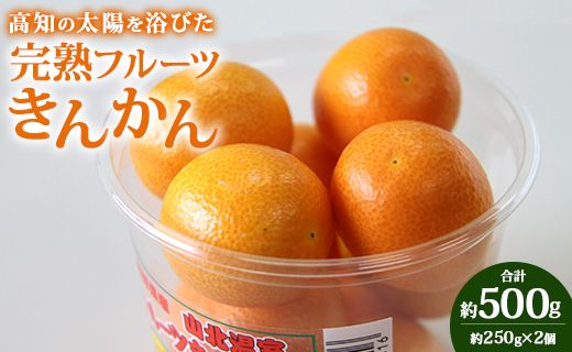 キンカン 金柑 合計500g(250g×2パック) 高知の太陽を浴びた完熟フルーツきんかん - 果物 フルーツ 金柑 柑橘 期間限定 数量限定 ku-0020