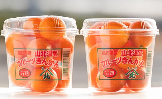 【平均糖度18度】きんかん 金柑 合計500g（250g×2パック） 高知の太陽を浴びた完熟フルーツきんかん 先行受付- 果物 フルーツ 金柑 柑橘 期間限定 数量限定 ku-0048